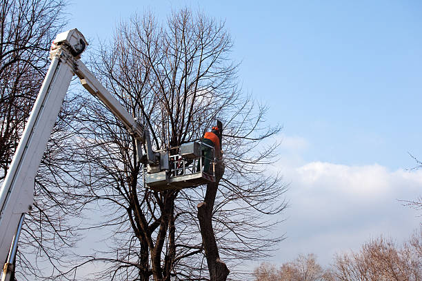 Depoe Bay, OR Tree Services Company